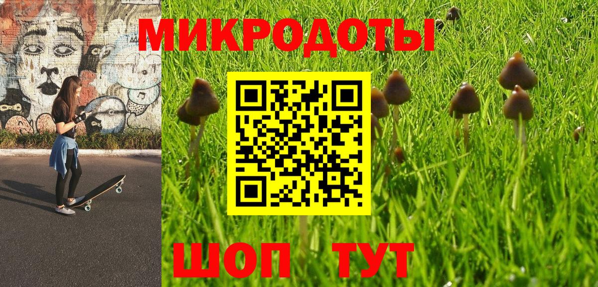 Галлюциногенные грибы Psilocybe Большой Камень